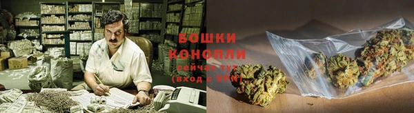 ГАЛЛЮЦИНОГЕННЫЕ ГРИБЫ Заволжье
