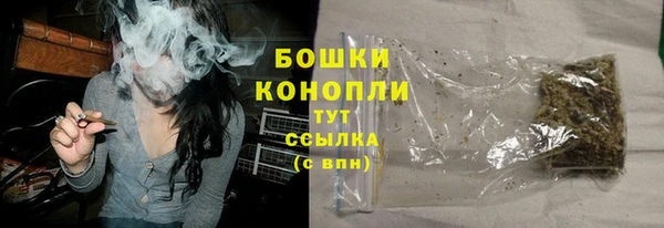 ГАЛЛЮЦИНОГЕННЫЕ ГРИБЫ Заволжье