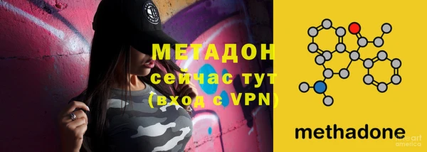 ГАЛЛЮЦИНОГЕННЫЕ ГРИБЫ Заволжье