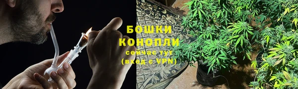 ГАЛЛЮЦИНОГЕННЫЕ ГРИБЫ Заволжье