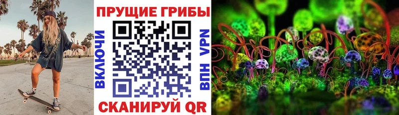 Псилоцибиновые грибы прущие грибы Рузаевка